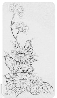 a pencil drawing of flowers on a white paper with watermarked image in the bottom right corner