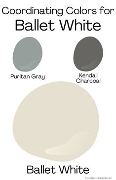 the different shades of paint that are used in this painting project for swiss coffee and white coffee