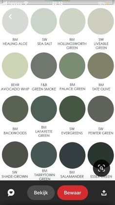 an iphone screen showing different shades of green and gray, with the same color scheme for each