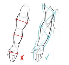 how to draw the upper arm and lower arm muscles with this step by step drawing guide