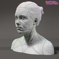 ArtStation - Young woman model , Anatomy For Sculptors Simplified Anatomy, Animal Structure, Anatomy Books For Artists, Muscular Anatomy, Anatomy For Sculptors, 3d Wireframe, Drawing Models