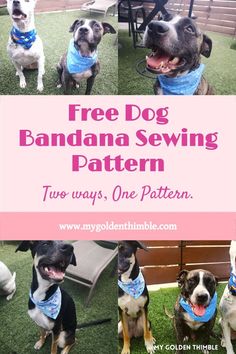 free dog bandana sewing pattern Dog Tie, Up Dog, Cute Sewing Projects