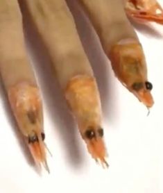 Salon slammed for bizarre PRAWN HEAD manicure which has steamed fish glued to nails Fish Nails, Plain Nails, Back To School Nails, School Nails, Blue Nail Designs, Dog Nails