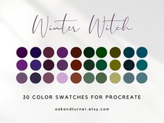 the color swatches for procreate are all in different colors and sizes, with text overlay that reads, winter witch 30 color swatches for procreate