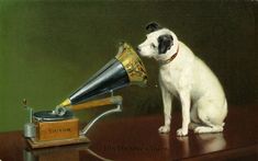 a dog is sniffing a horn on top of a table with a record player in front of it