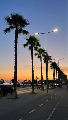 palm trees line the street at sunset