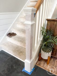 a pair of shoes sitting on the ground next to a stair case and potted plant