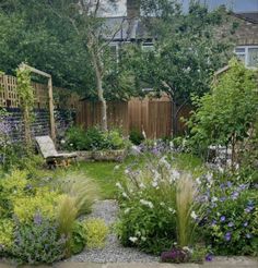 a garden with lots of plants and flowers