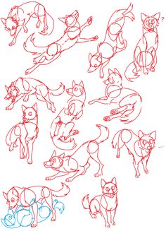 a bunch of different types of dogs drawn in red and blue marker on white paper