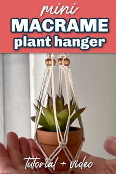 a hand holding a potted plant with the text mini macrame plant hanger