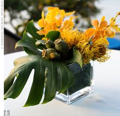 an arrangement of yellow flowers and green leaves in a square vase on a white table