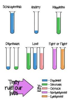 four test tubes filled with colored liquid and labeled in the words they make our lives