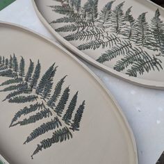 two plates that have some plants on them