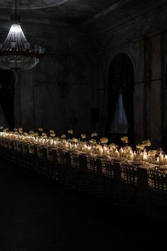 many lit candles are lined up in a dark room