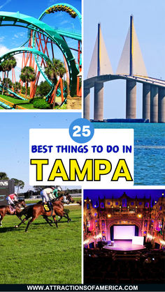 25 best things to do in Tampa. Things To Do In Tampa Florida, Tampa Florida Things To Do In, Tampa Aesthetic, Nature Parks, Things To Do In Tampa, Sunshine Skyway Bridge, Ybor City, Serene Nature