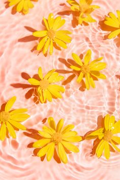 several yellow flowers floating on top of a body of water