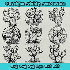 six cactuses in different positions and sizes with the words design pretty pear cactus on them