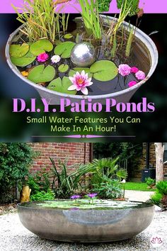 a metal bowl filled with water and plants