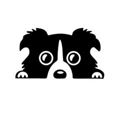 a black and white dog's face with big eyes on a white background,