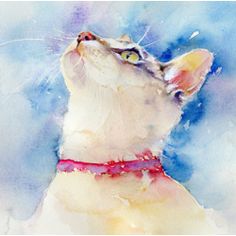 a watercolor painting of a white cat wearing a red collar looking up at the sky