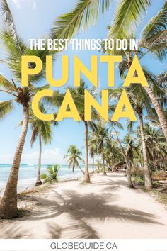 the best things to do in punta cana