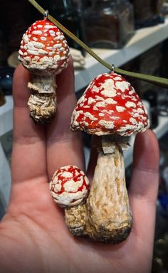 two red and white mushrooms sitting on top of a persons hand