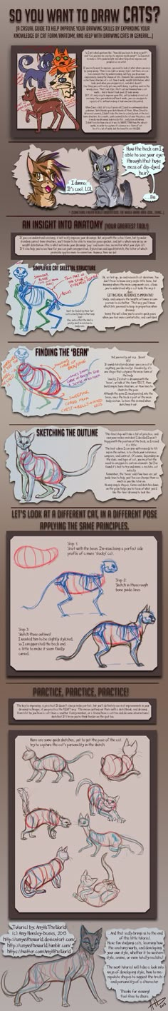 an info sheet showing the different types of human body systems and their functions in each region