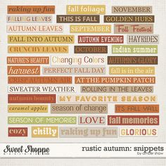 the autumn stickers are all different colors and sizes, but there is no image on them