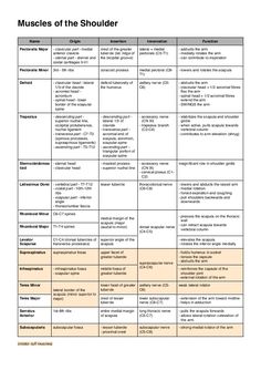 the table shows muscles and their functions in order to help you understand what they are