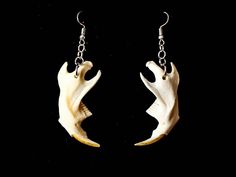 Muskrat Jaws Bones are on stainless steel. 100% real ethically sourced bone including all teeth. Comes with earring backs. Pairs well with the Vertebrae Necklace or choker. Human Teeth, Jaw Bone, Dec 1, Pittsburgh Pa, Custom Leather, Earring Backs, Pittsburgh, Jewelry Earrings Dangle, Bones