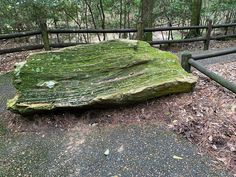 a large rock sitting in the middle of a forest next to a metal fence and trees