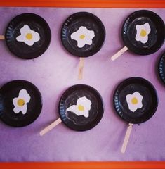 six black plates with white flowers on them and popsicle sticks sticking out of them