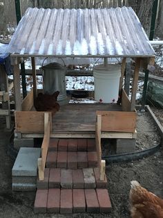 chickens are outside in the snow near a wooden structure with a roof and steps leading up to it