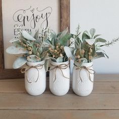 three white mason jars with plants in them