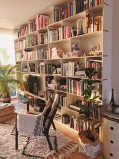 a living room filled with lots of books and furniture next to a plant on top of a rug