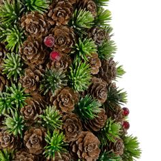 pine cones and green plants are arranged in the shape of a christmas tree