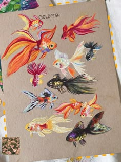 an image of some colorful fish on a piece of paper