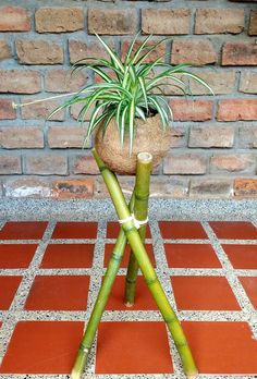 a potted plant sitting on top of a wooden stand next to a brick wall