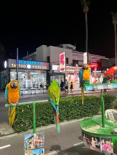 three colorful parrots are perched on the bars in front of a shopping center at night