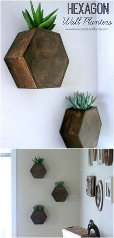 three different pictures of plants in wooden planters on the wall and hanging on the wall