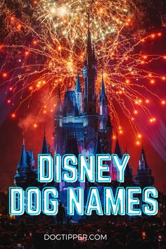 disney dog names with fireworks in the sky above it and castle at night behind them