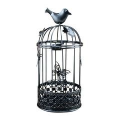 a bird sitting on top of a metal cage