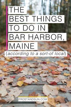 the best things to do in bar harbor maine according to a sort of local