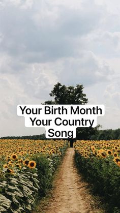 a sunflower field with the words your birth month, your country song on it