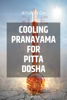 Colling Pranayama For Pitta Dosha. Sitali, or Sheetali Pranayama is best suited to Pitta types because it is cooling and relaxing as opposed to energizing or warming. Pittas benefit from daily practice of Sitali Pranayama in many ways. Pitta’s main qualities are hot, oily and light. The cooling breath of Sitali calms and balances the excess Pitta.  #ayurveda  #ayurvedicliving  #ayurvedalifestyle  #ayurvedaforlife  #ayurvedicmedicine  #doshas #pranayama  #Kapha  #Pitta  #Vata Sitali Pranayama, Namaste Quotes, Bruce Lee (quotes), Marley Quotes, Pitta Dosha, Ayurveda Recipes, Ayurveda Lifestyle