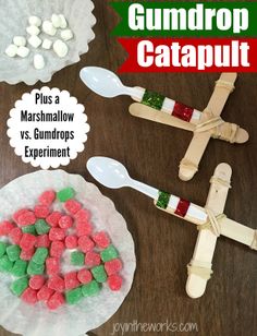 gumdrop catapult plus marshmallow vs gumdrops experiment for kids