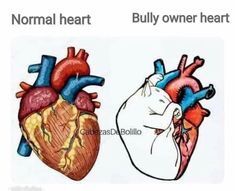 an image of the human heart compared to each other with captions in spanish and english