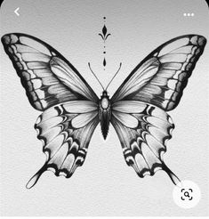 a black and white drawing of a butterfly