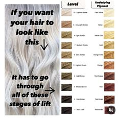 Blonde Highlight Colors Chart, Cool Level 8 Blonde, Levels Of Bleaching Hair, Level 8 Cool Blonde Hair, Blonde Highlights On Level 6, Levels Of Brown Hair Chart, 10 Levels Of Hair Color, Hair Color Levels 1-10 Chart Undertones, Color Levels 1-10 Hair Chart