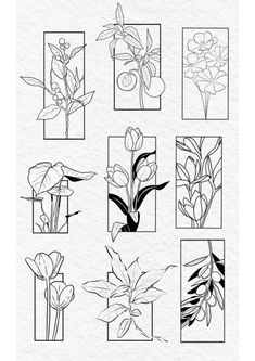 the different flowers are drawn in black and white